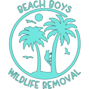 Beach Boys Wildlife Removal FULL COLORED 900