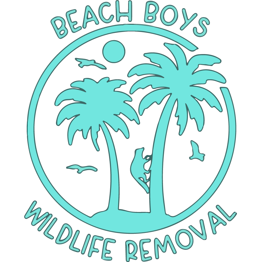 Beach Boys Wildlife Removal FULL COLORED 900